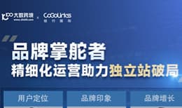 品牌掌舵者——精细化运营助力独立站破局