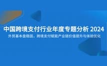 易观发布《中国跨境支付行业年度专题分析2024》，CoGoLinks结行国际入选第三方跨境支付产业图谱